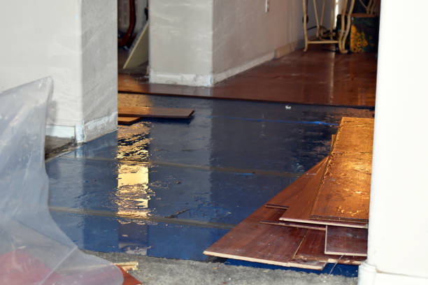 Professional Basement Flood Cleanup technician working in Colton, OR